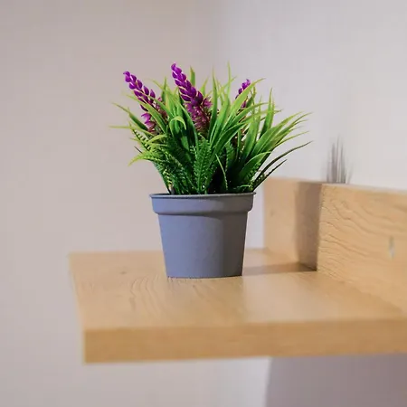 - Steps Form New Bazaar