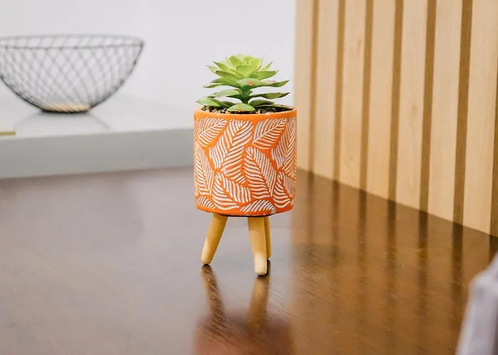 - Steps Form New Bazaar アパート *