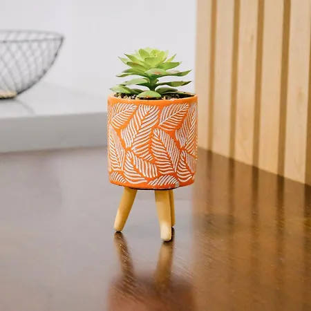 - Steps Form New Bazaar 아파트 *