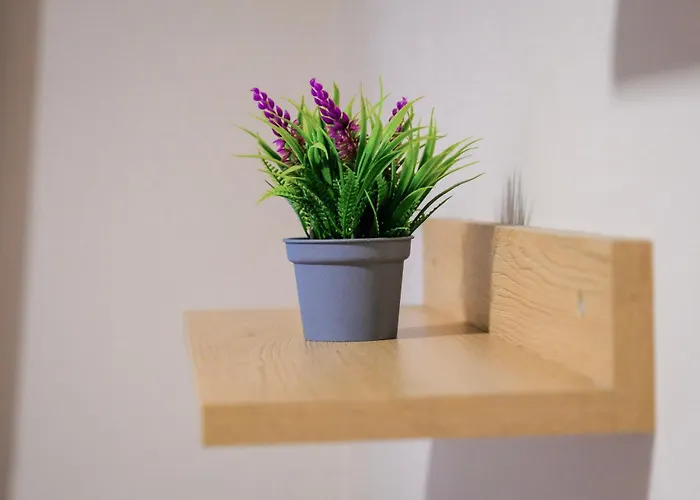 - Steps Form New Bazaar